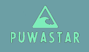 Logo_PuwaSTAR.png