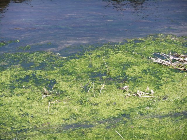 dscf0121.jpg