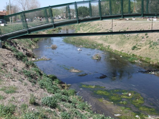 dscf0123.jpg