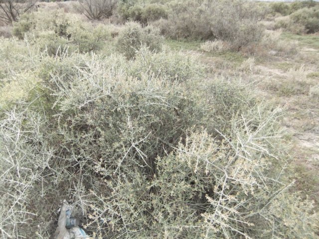 dscf0160.jpg