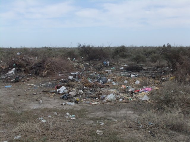 dscf0161.jpg