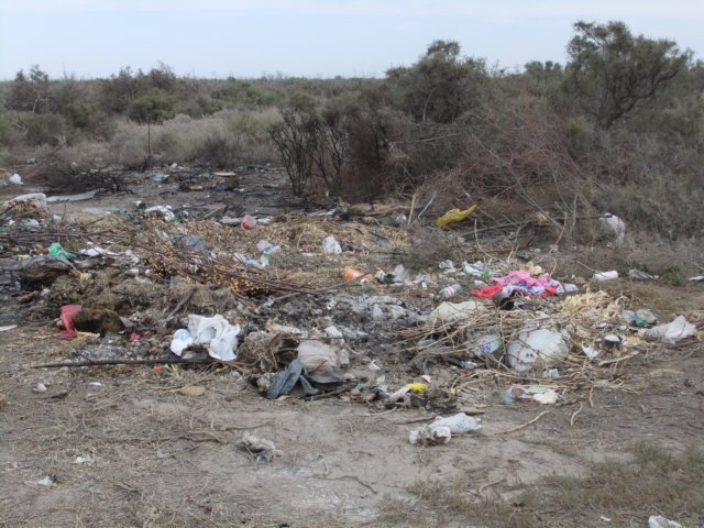 dscf0163.jpg