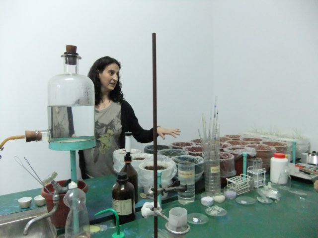 dscf0339.jpg