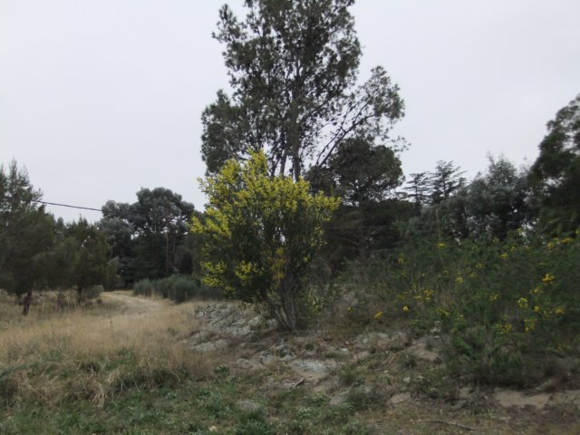 dscf0400.jpg