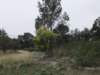 dscf0400_small.jpg