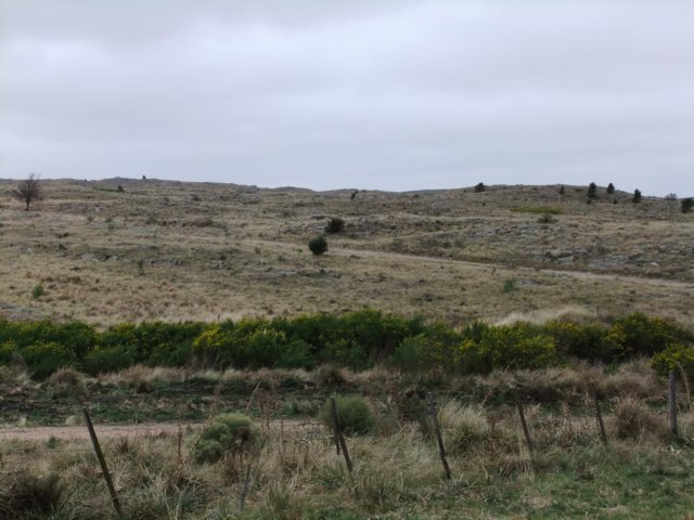 dscf0404.jpg