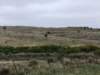 dscf0404_small.jpg