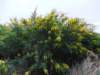 dscf0416_small.jpg