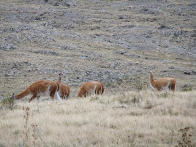 dscf0418.jpg