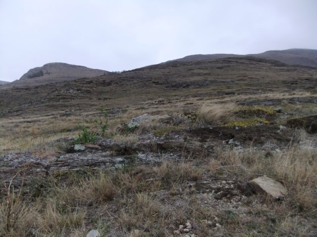 dscf0419.jpg