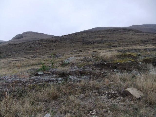 dscf0420.jpg