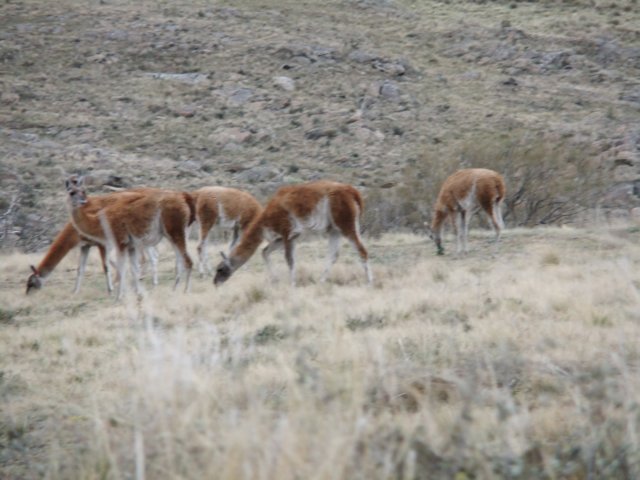 dscf0421.jpg