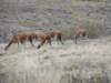dscf0421_small.jpg