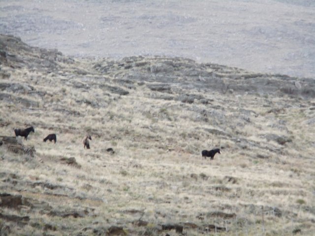 dscf0422.jpg