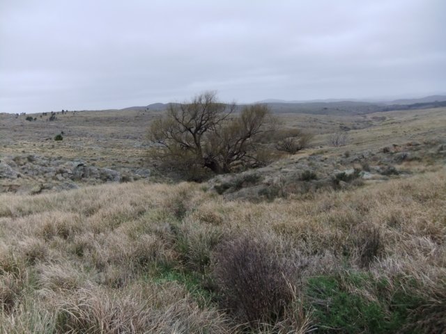 dscf0423.jpg