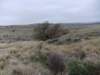 dscf0423_small.jpg