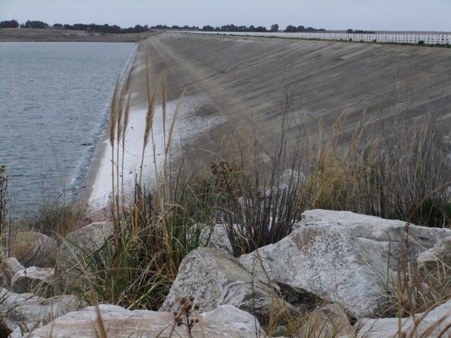 dscf0442.jpg