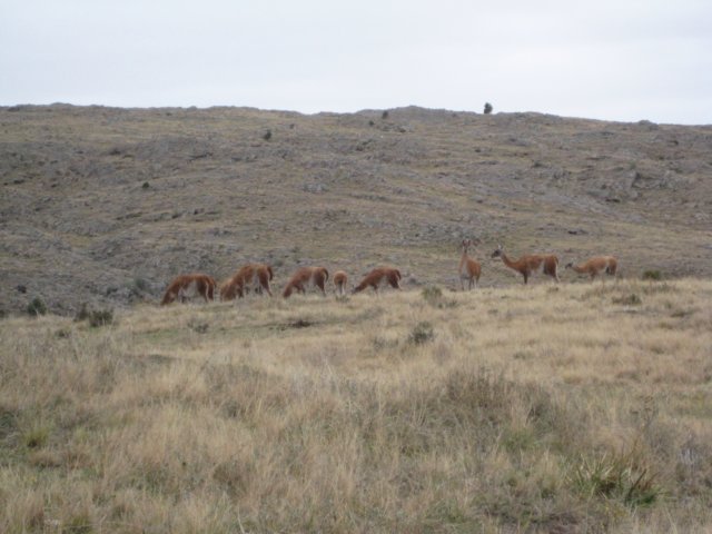 img_0974.jpg